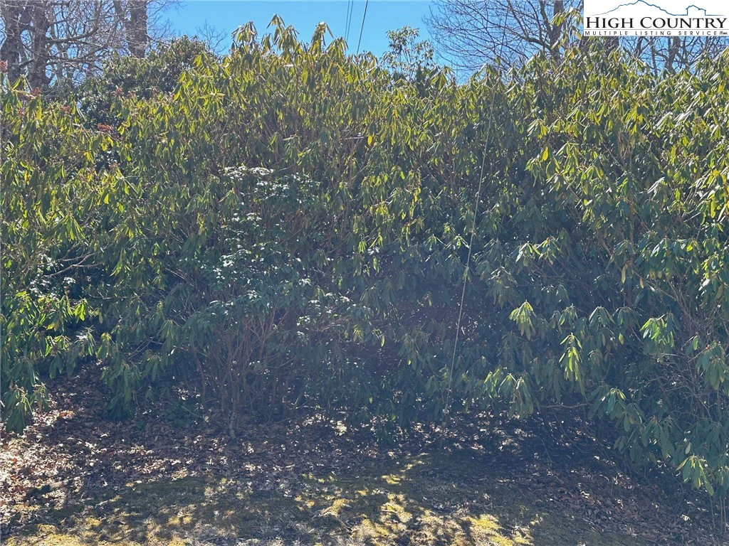 Image number 10 for the current listing