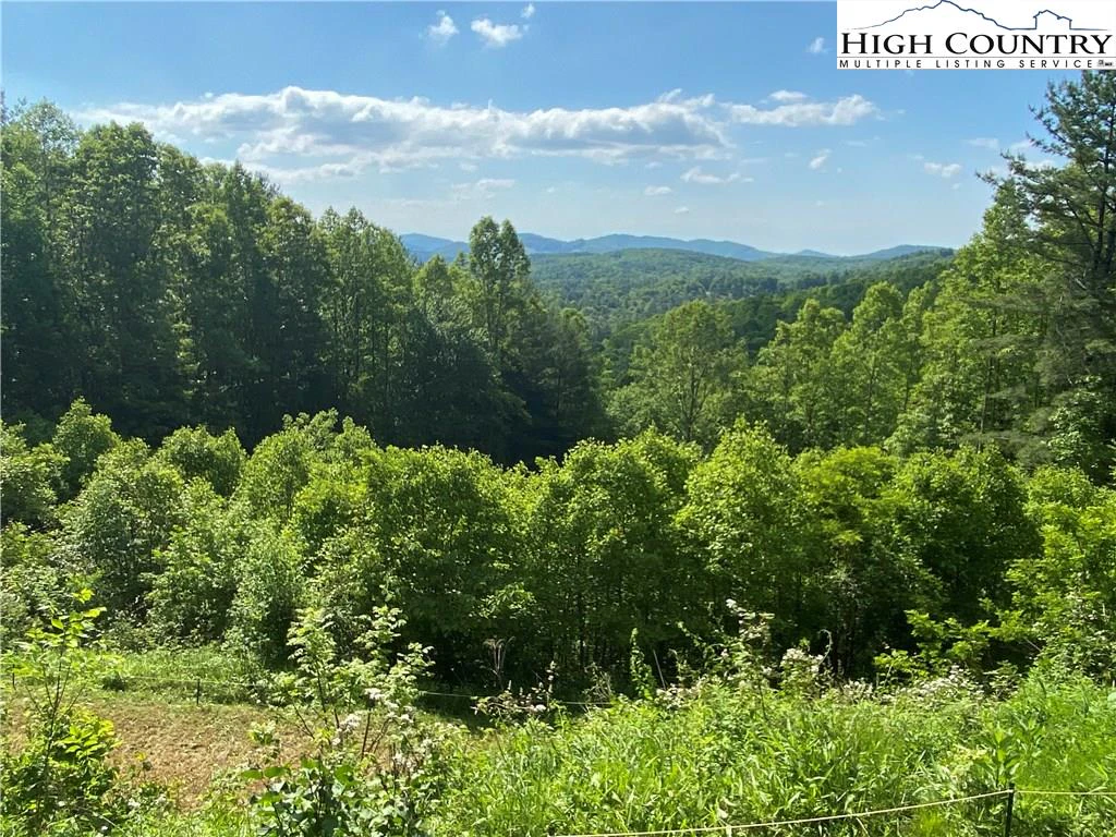 Image number 13 for the current listing