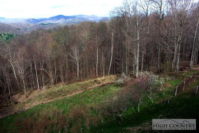 Image number 7 for the current listing
