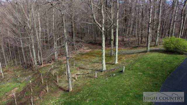 Image number 11 for the current listing