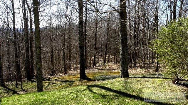 Image number 12 for the current listing