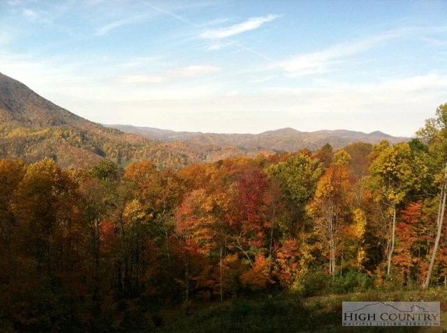 Image number 2 for the current listing