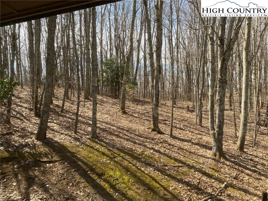 Image number 11 for the current listing