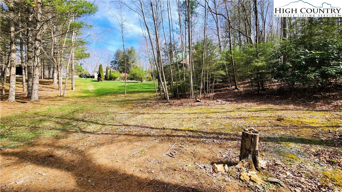 Image number 19 for the current listing