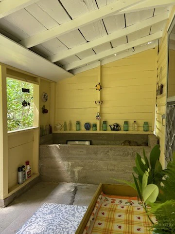 Image number 12 for the current listing
