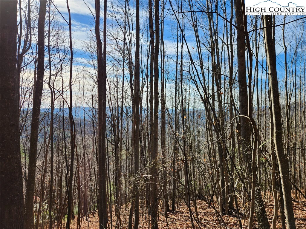 Image number 1 for the current listing