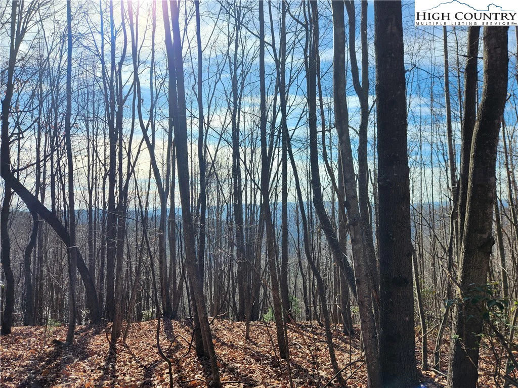 Image number 18 for the current listing