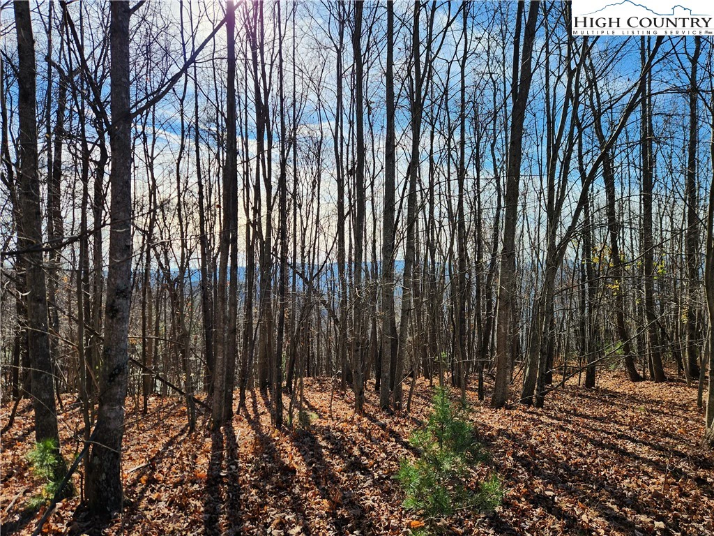 Image number 7 for the current listing