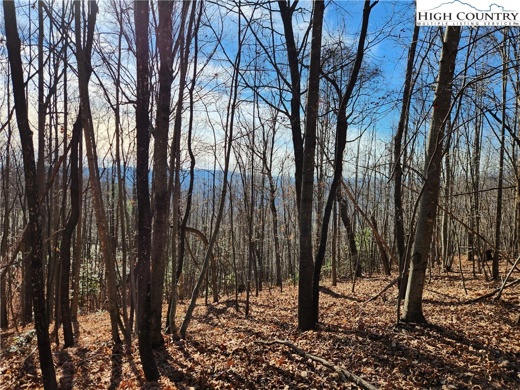 Image number 6 for the current listing