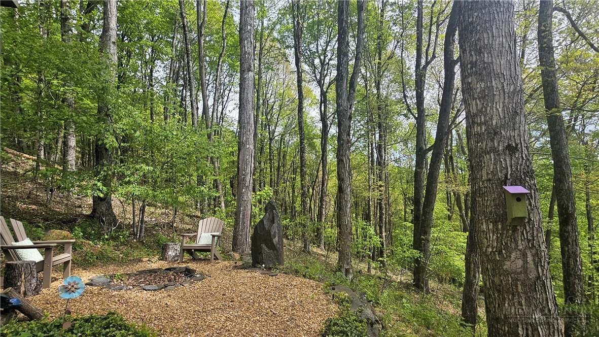 Image number 13 for the current listing