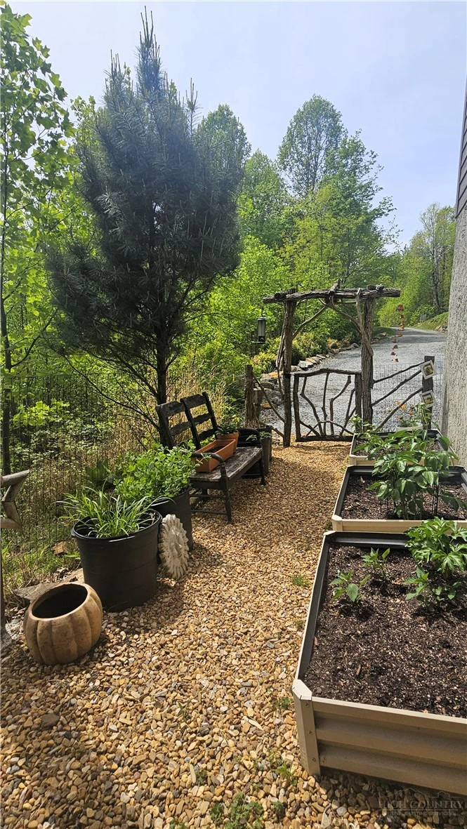 Image number 2 for the current listing