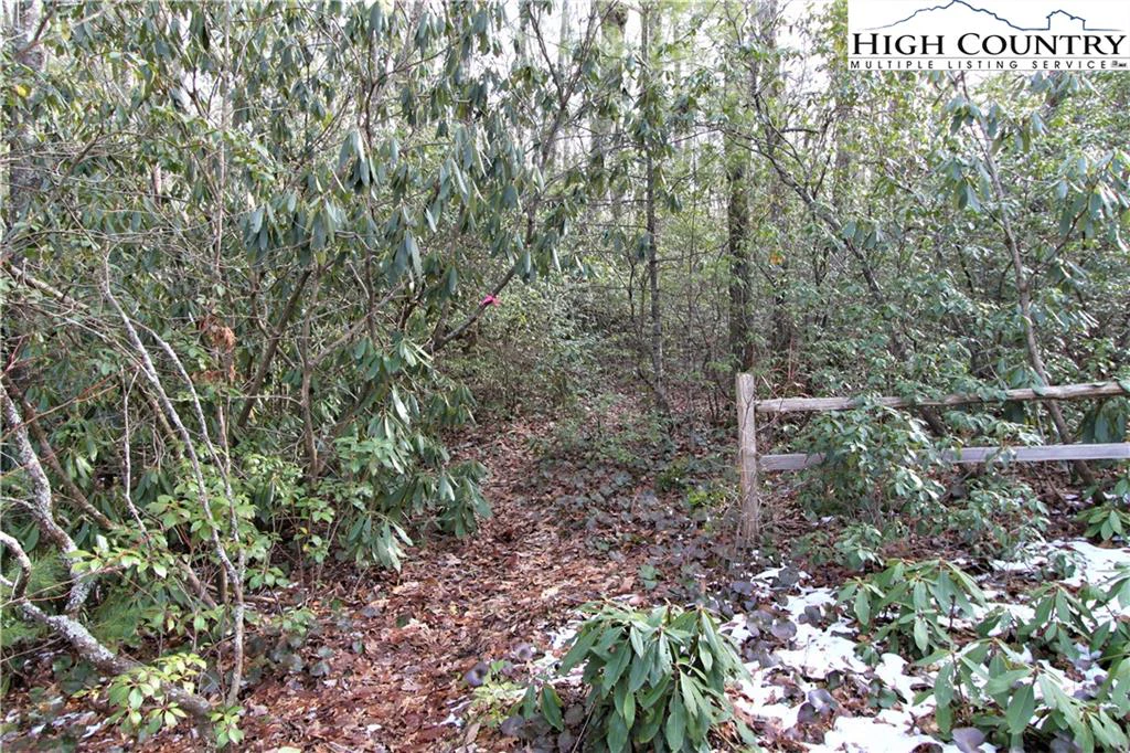 Image number 20 for the current listing