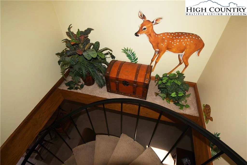Image number 11 for the current listing