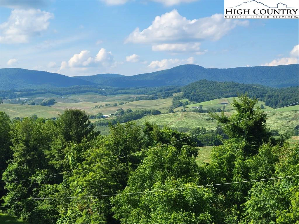 Image number 3 for the current listing