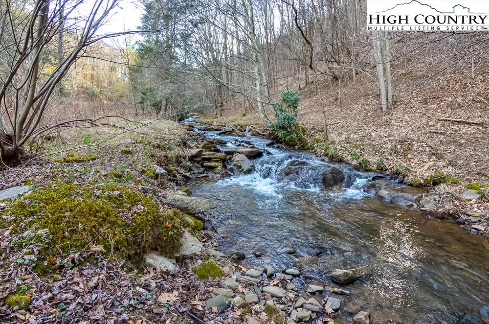 Image number 1 for the current listing