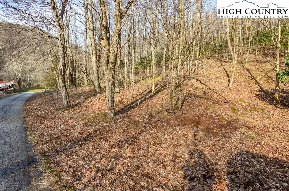 Image number 8 for the current listing