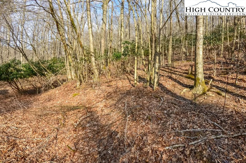 Image number 9 for the current listing