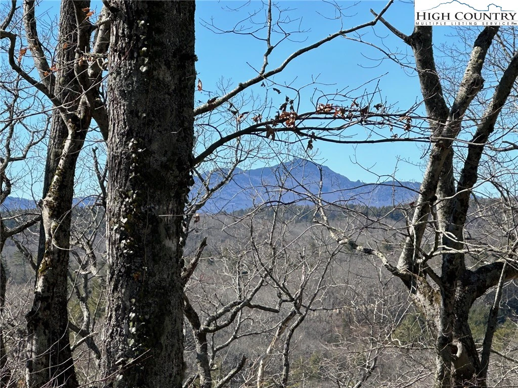 Image number 1 for the current listing