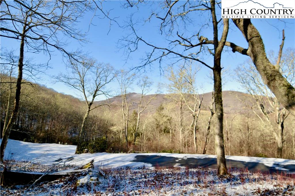 Image number 1 for the current listing