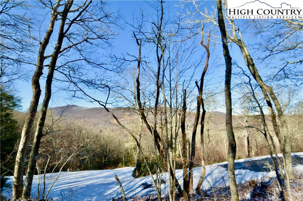 Image number 21 for the current listing