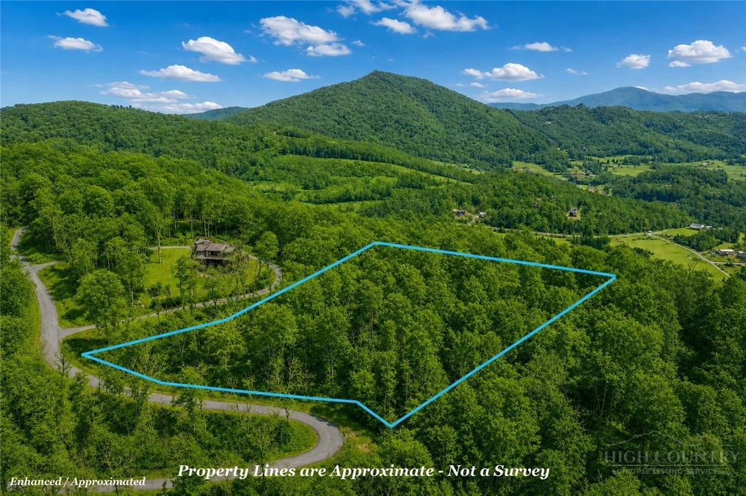 Image number 2 for the current listing