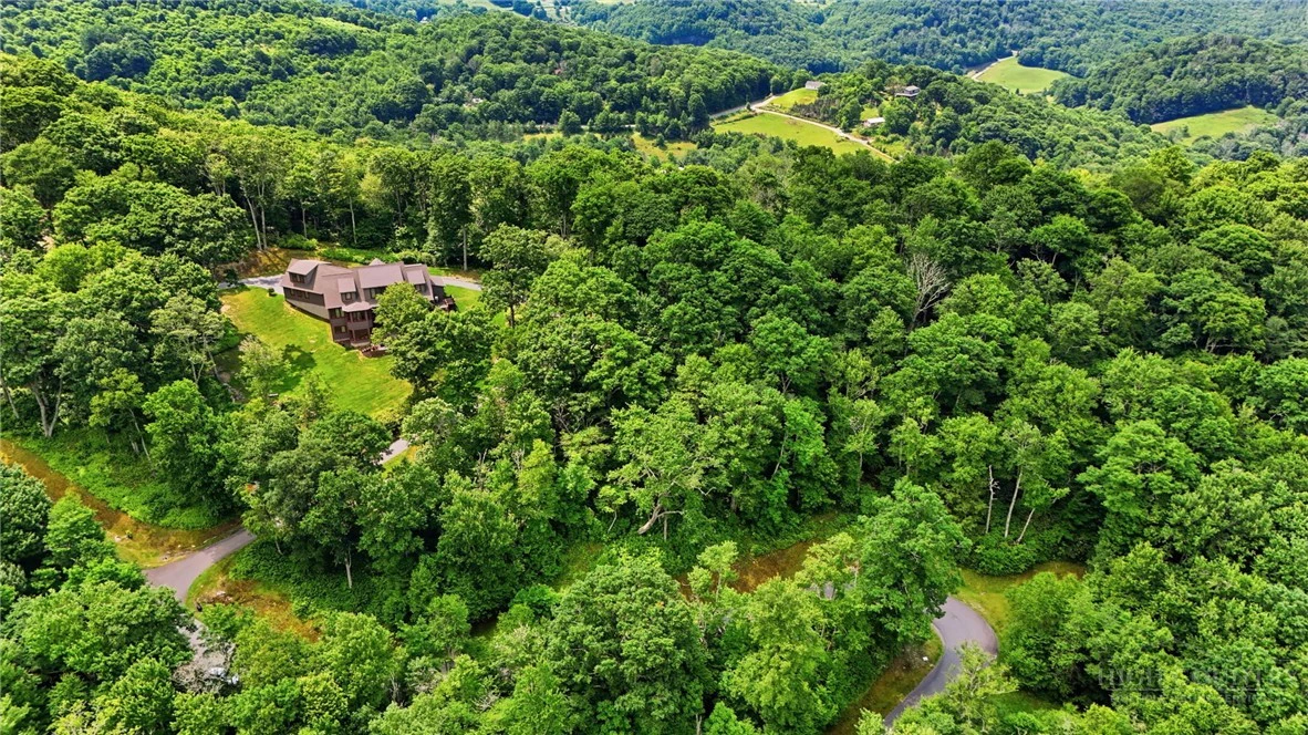 Image number 11 for the current listing