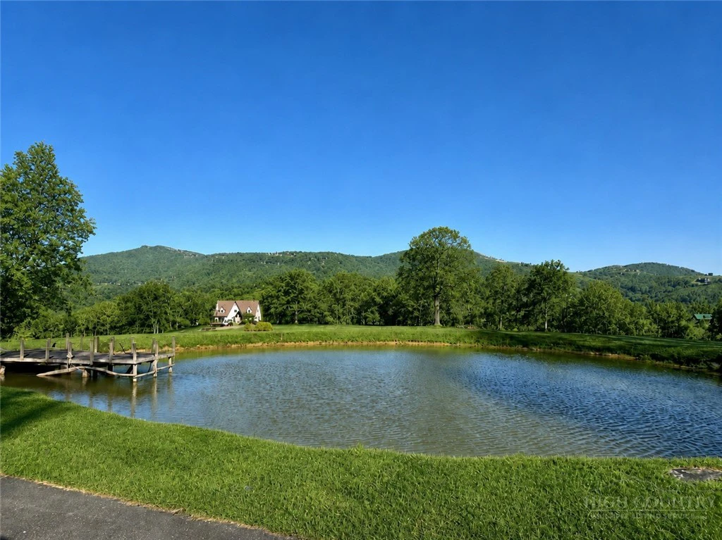 Image number 13 for the current listing