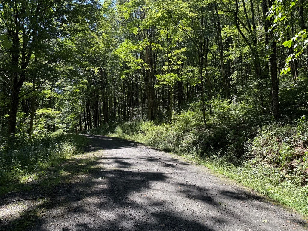 Image number 1 for the current listing