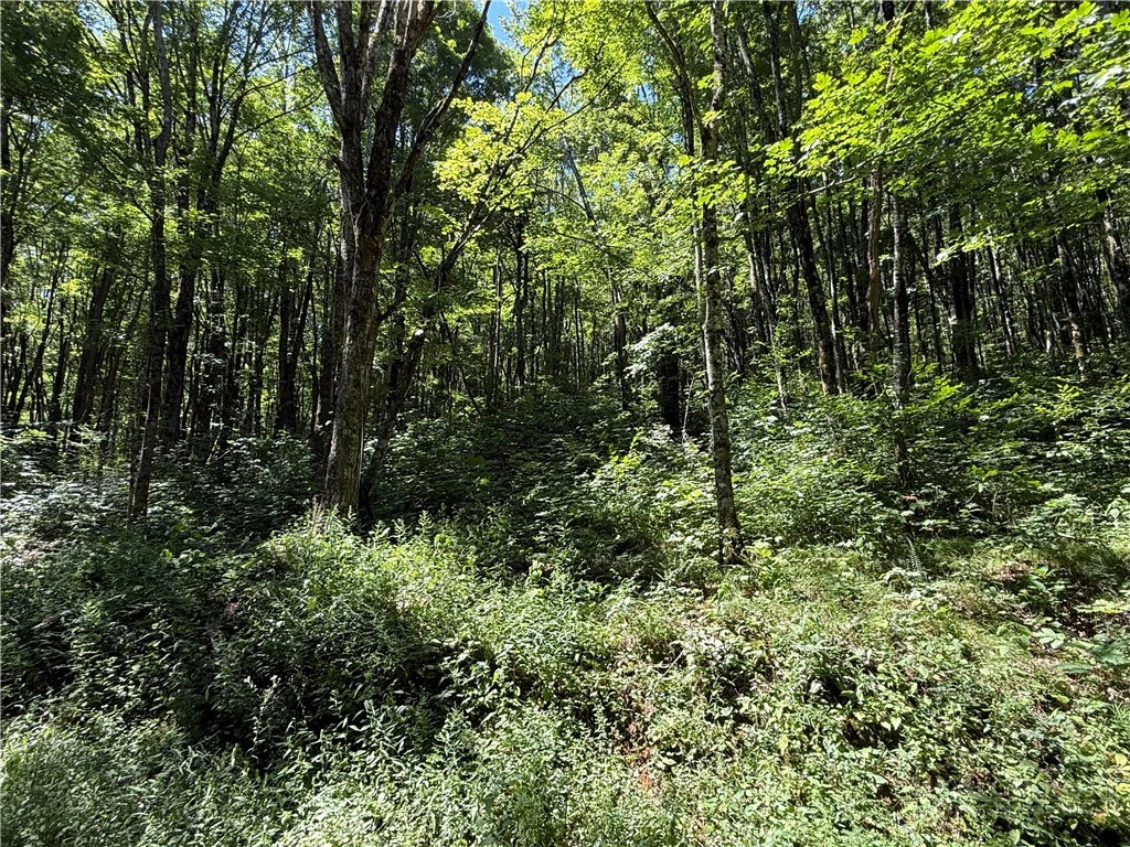Image number 3 for the current listing
