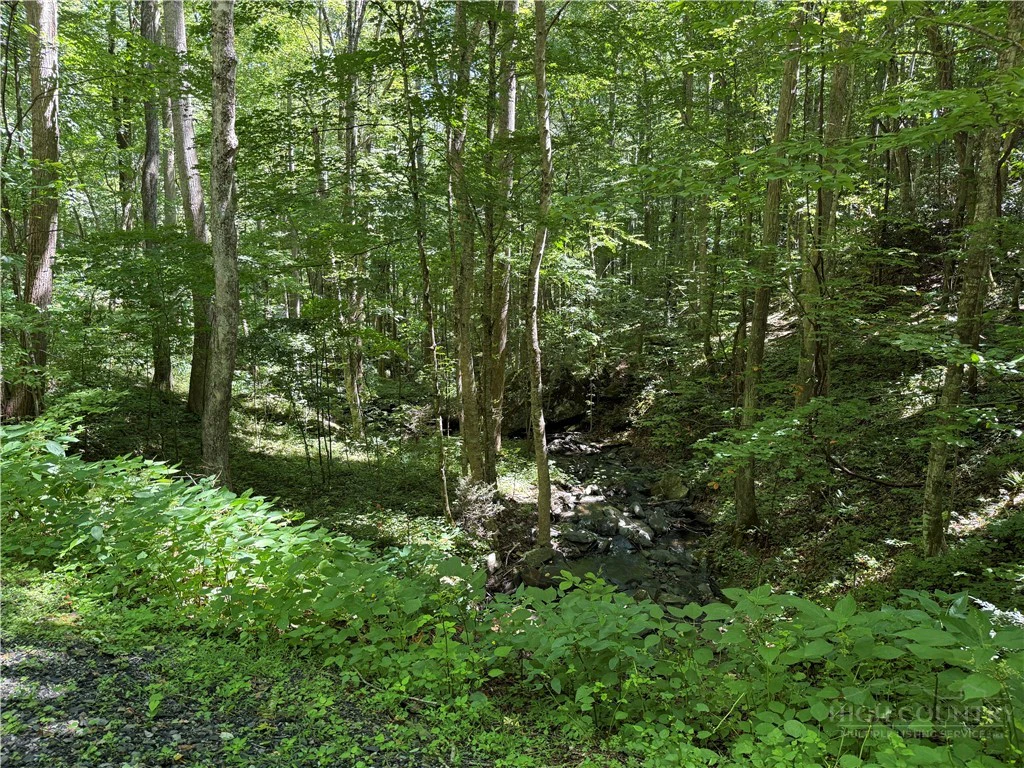 Image number 8 for the current listing