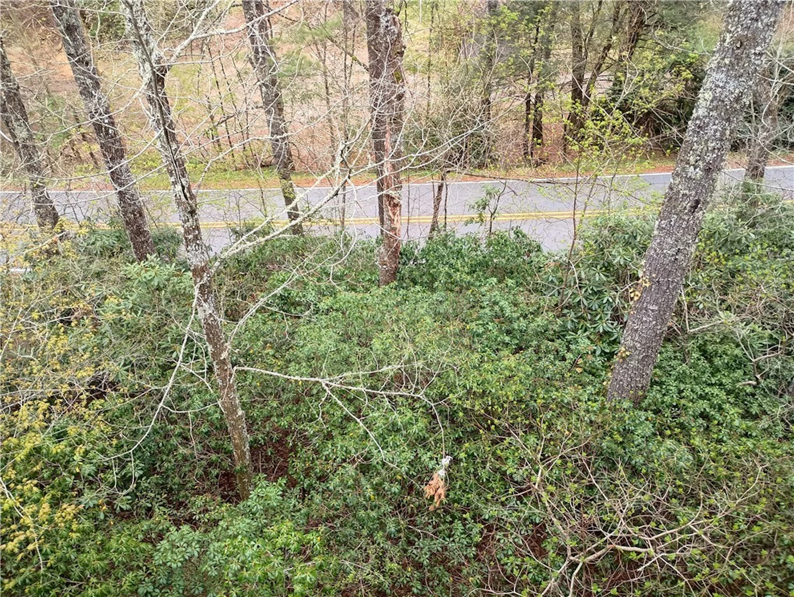 Image number 8 for the current listing