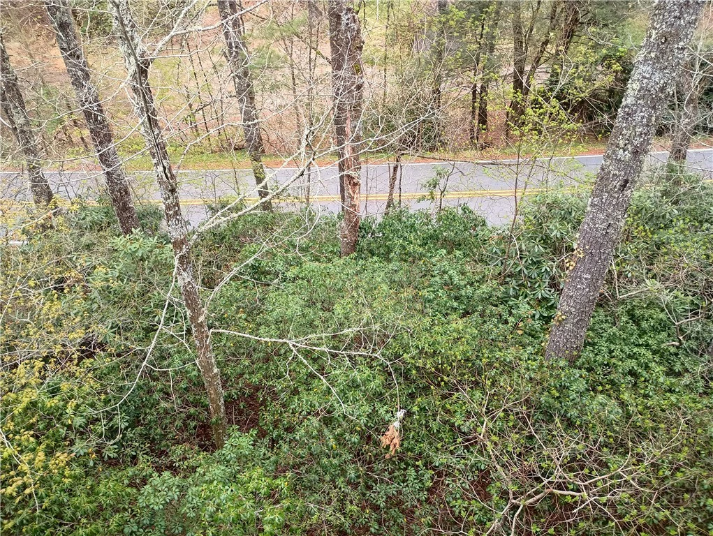 Image number 8 for the current listing
