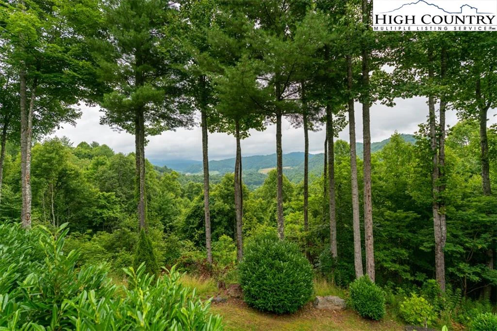 Image number 19 for the current listing