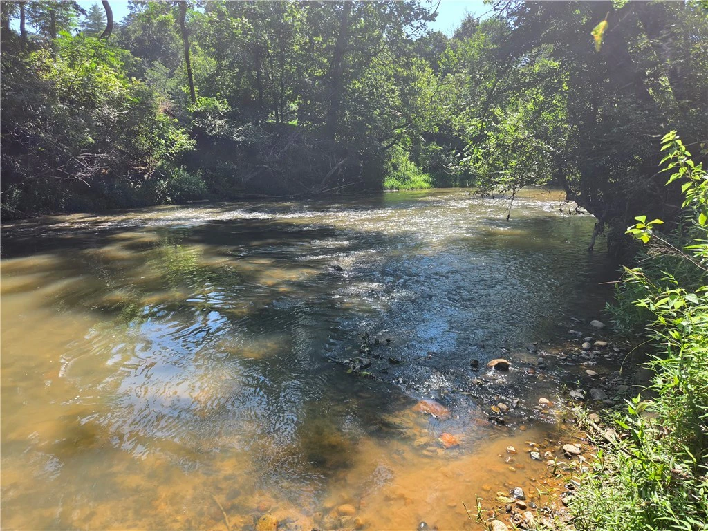 Image number 1 for the current listing