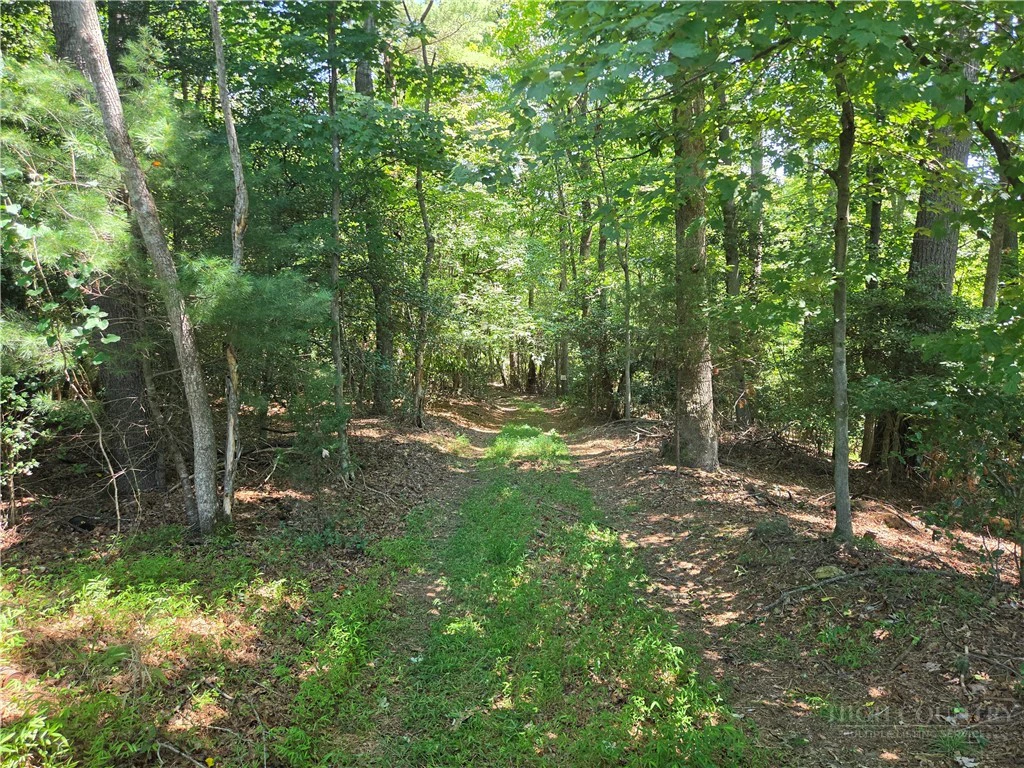 Image number 3 for the current listing