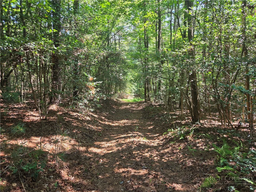 Image number 4 for the current listing