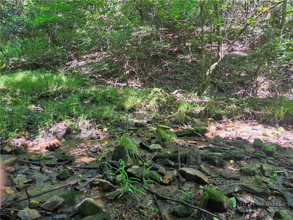 Image number 5 for the current listing