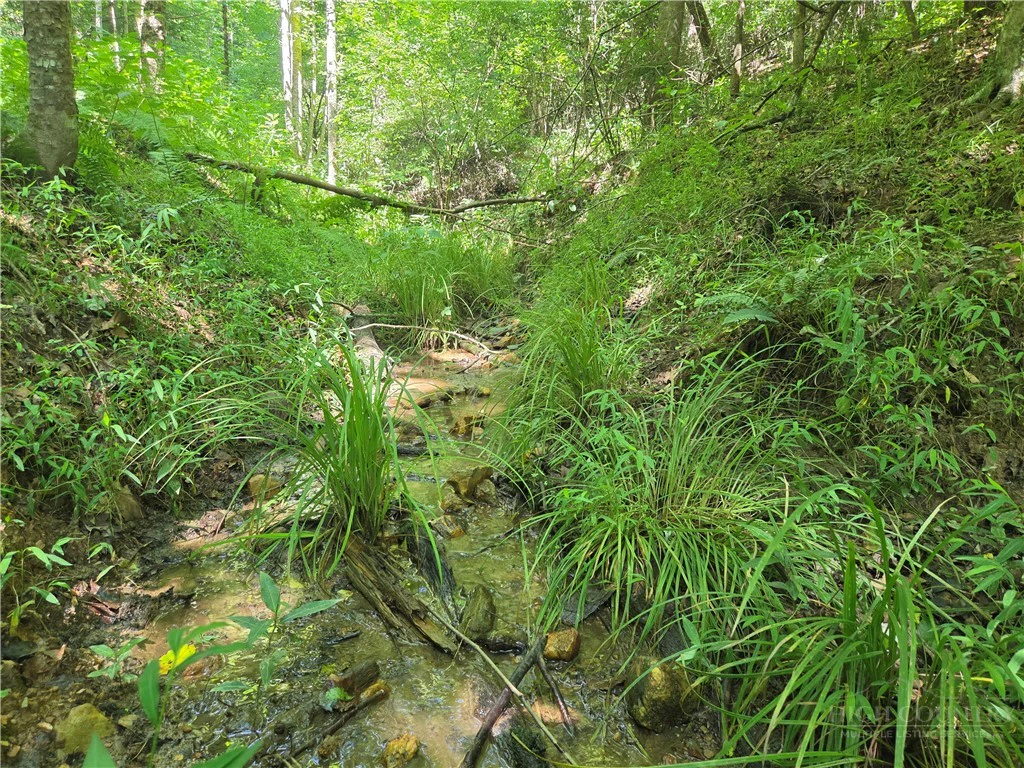 Image number 6 for the current listing