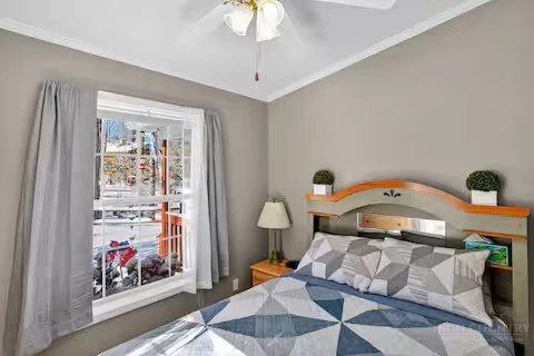 Image number 5 for the current listing
