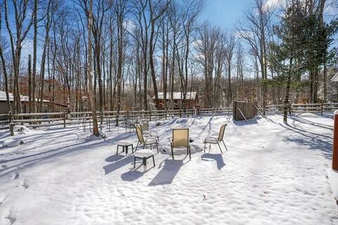 Image number 14 for the current listing