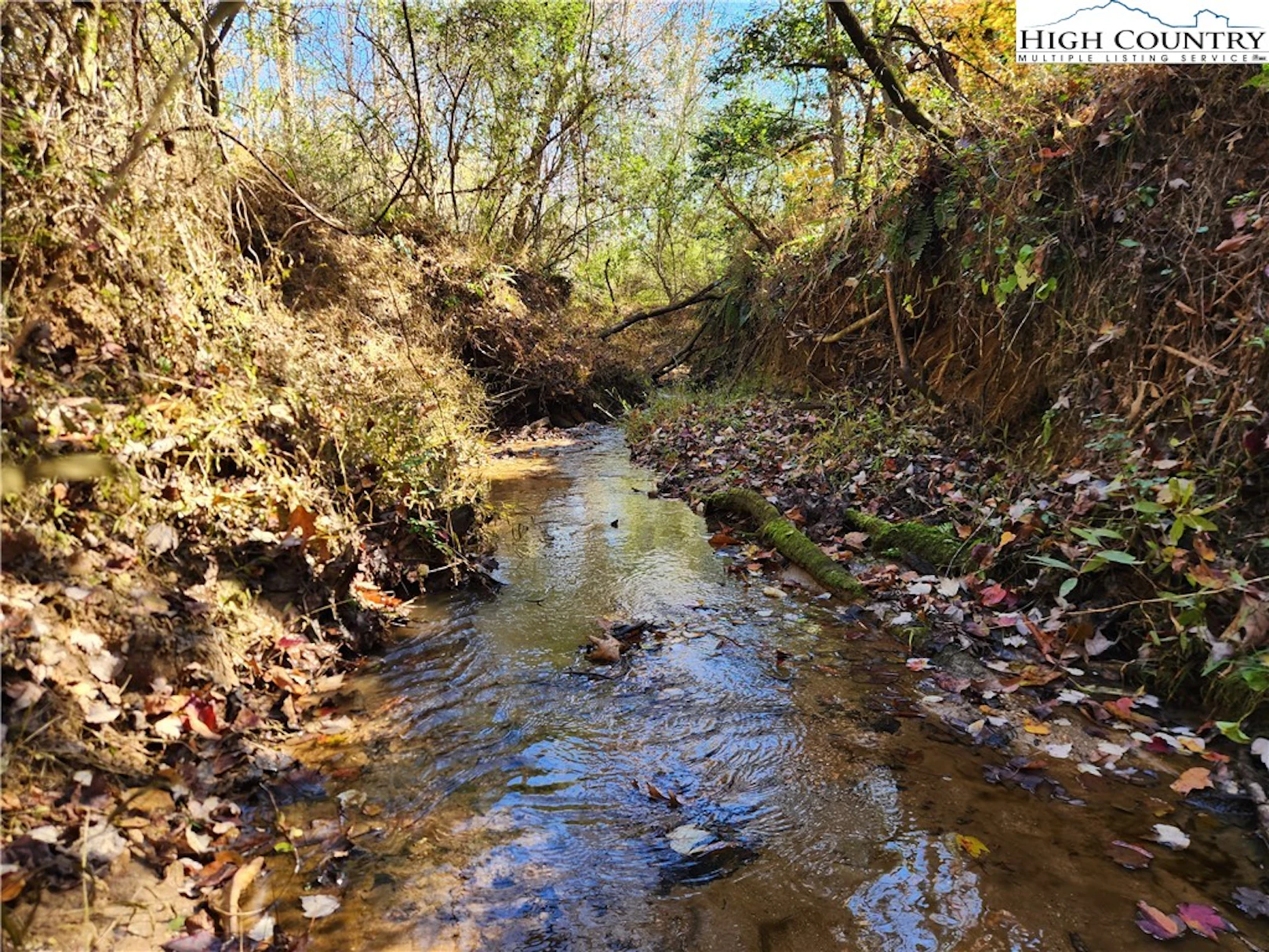 Image number 1 for the current listing
