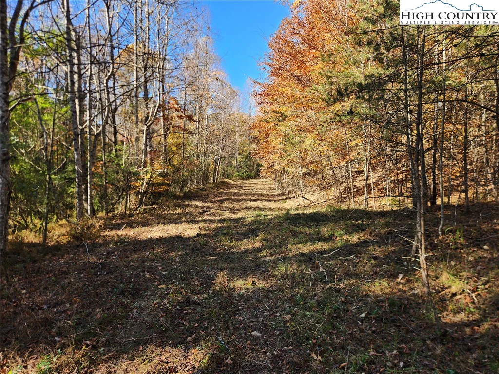 Image number 4 for the current listing