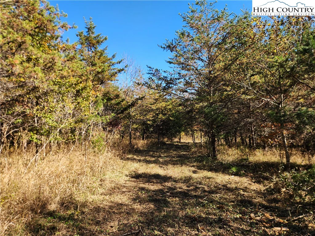 Image number 7 for the current listing