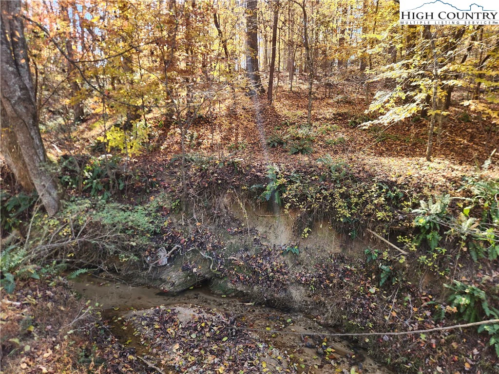 Image number 2 for the current listing