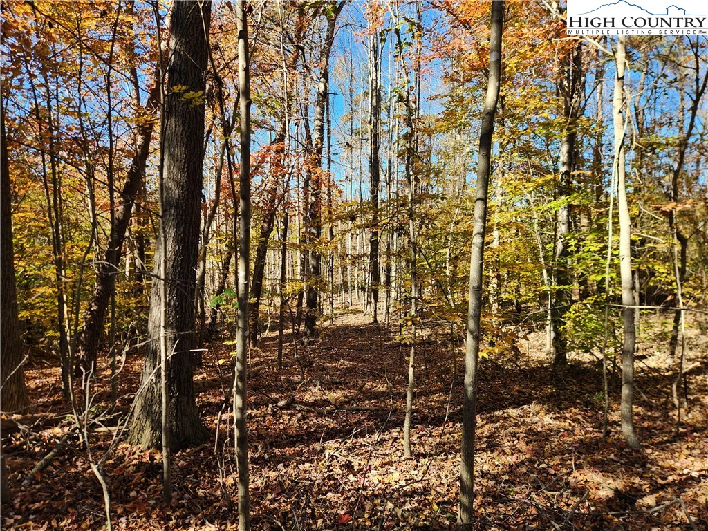Image number 13 for the current listing