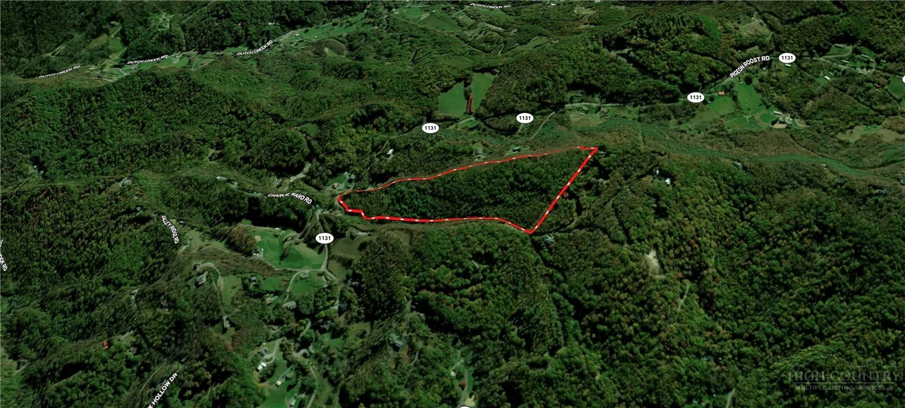 Image number 7 for the current listing