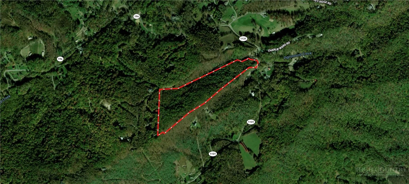 Image number 9 for the current listing