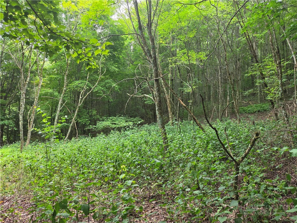 Image number 4 for the current listing