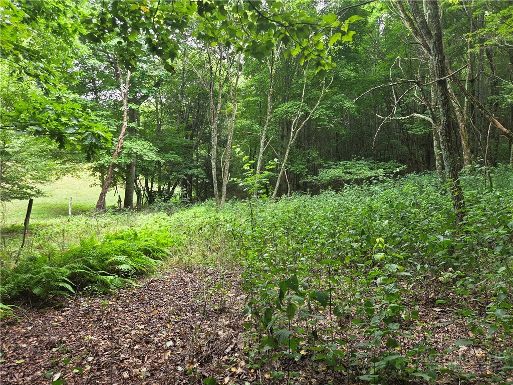 Image number 3 for the current listing