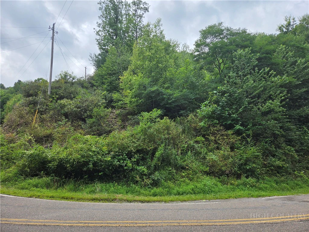 Image number 18 for the current listing